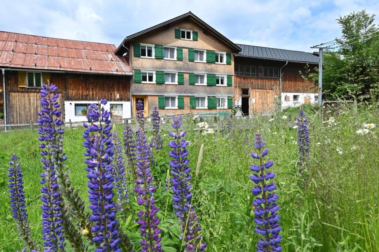 Apartamento Ferienbauernhof Moosbrugger Schoppernau Exterior foto