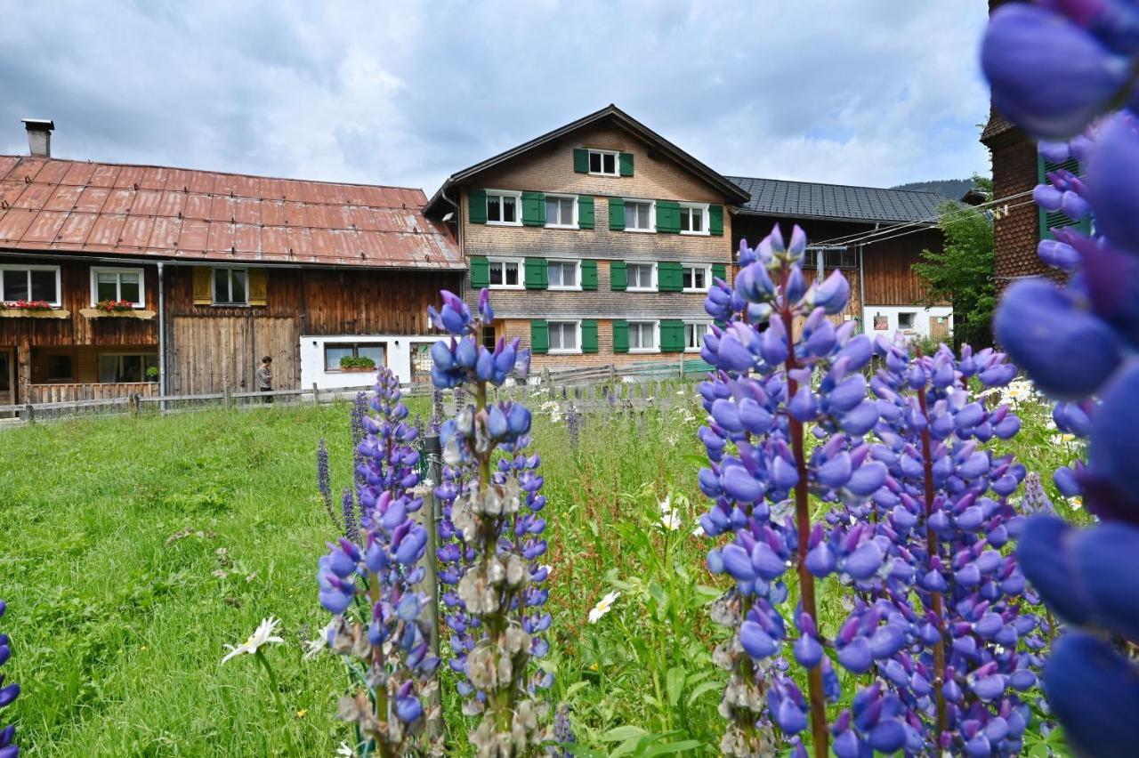 Apartamento Ferienbauernhof Moosbrugger Schoppernau Exterior foto
