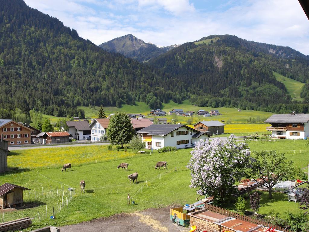 Apartamento Ferienbauernhof Moosbrugger Schoppernau Habitación foto