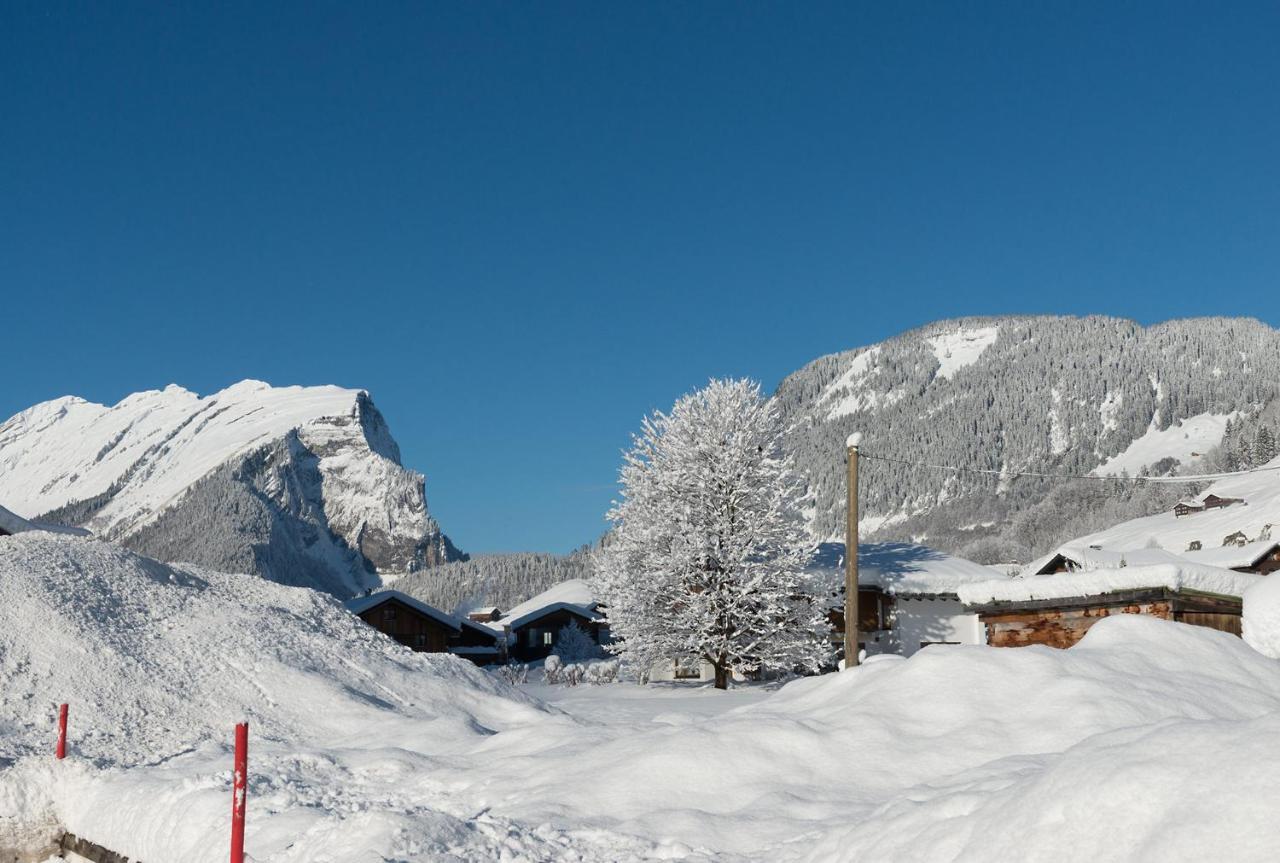 Apartamento Ferienbauernhof Moosbrugger Schoppernau Exterior foto